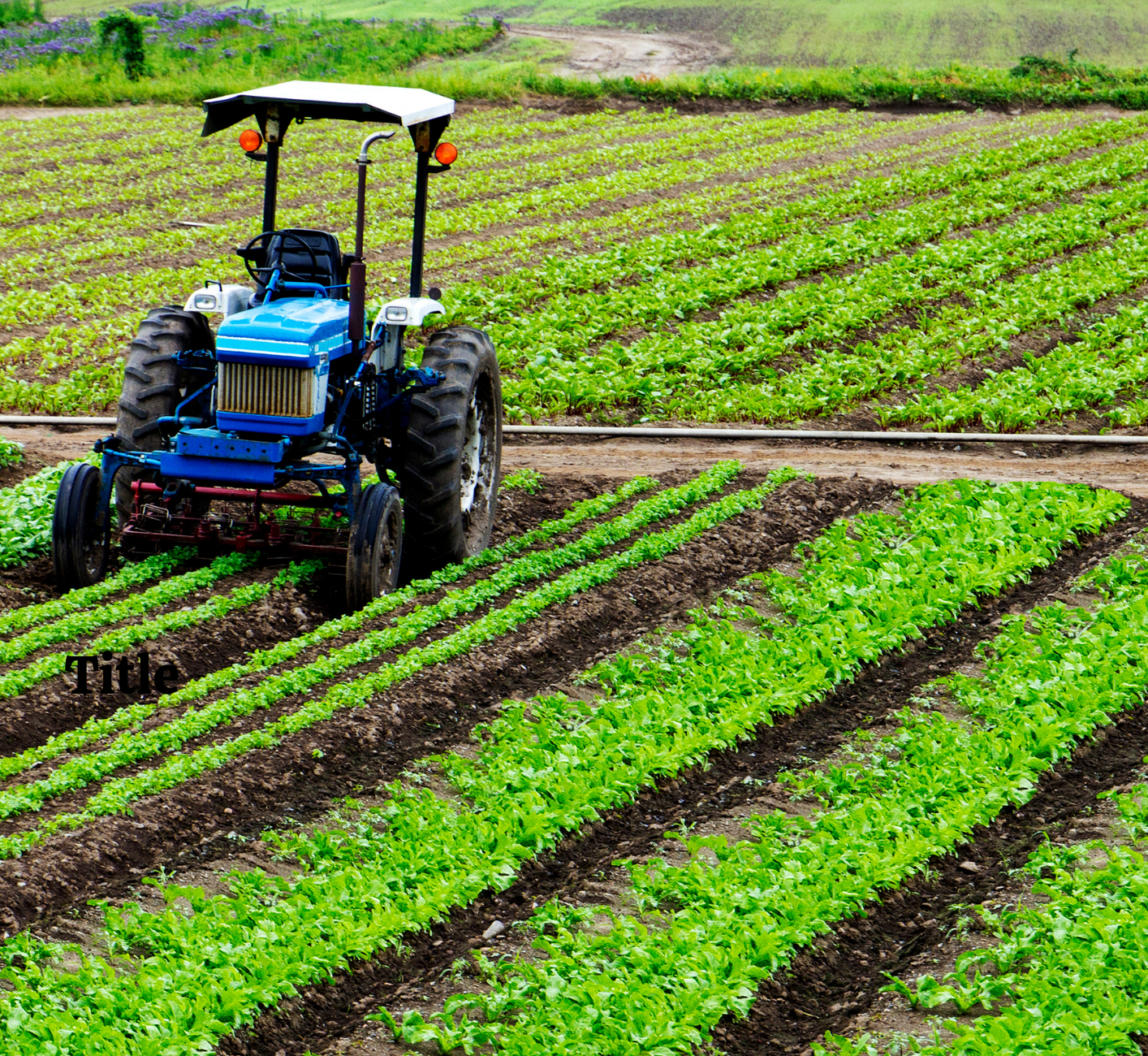 Agriculture